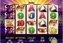 How To Play Aristocrat Buffalo Pokies? Buffalo pokies game